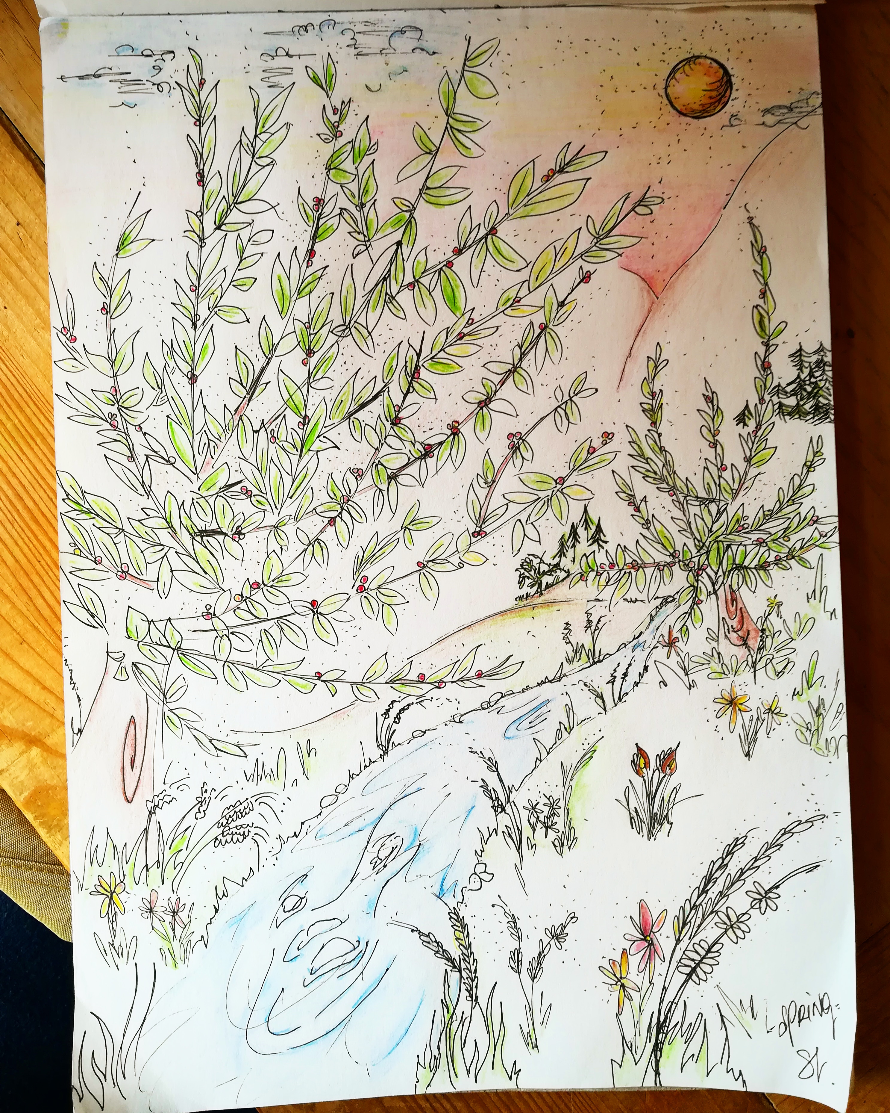 Just sketch