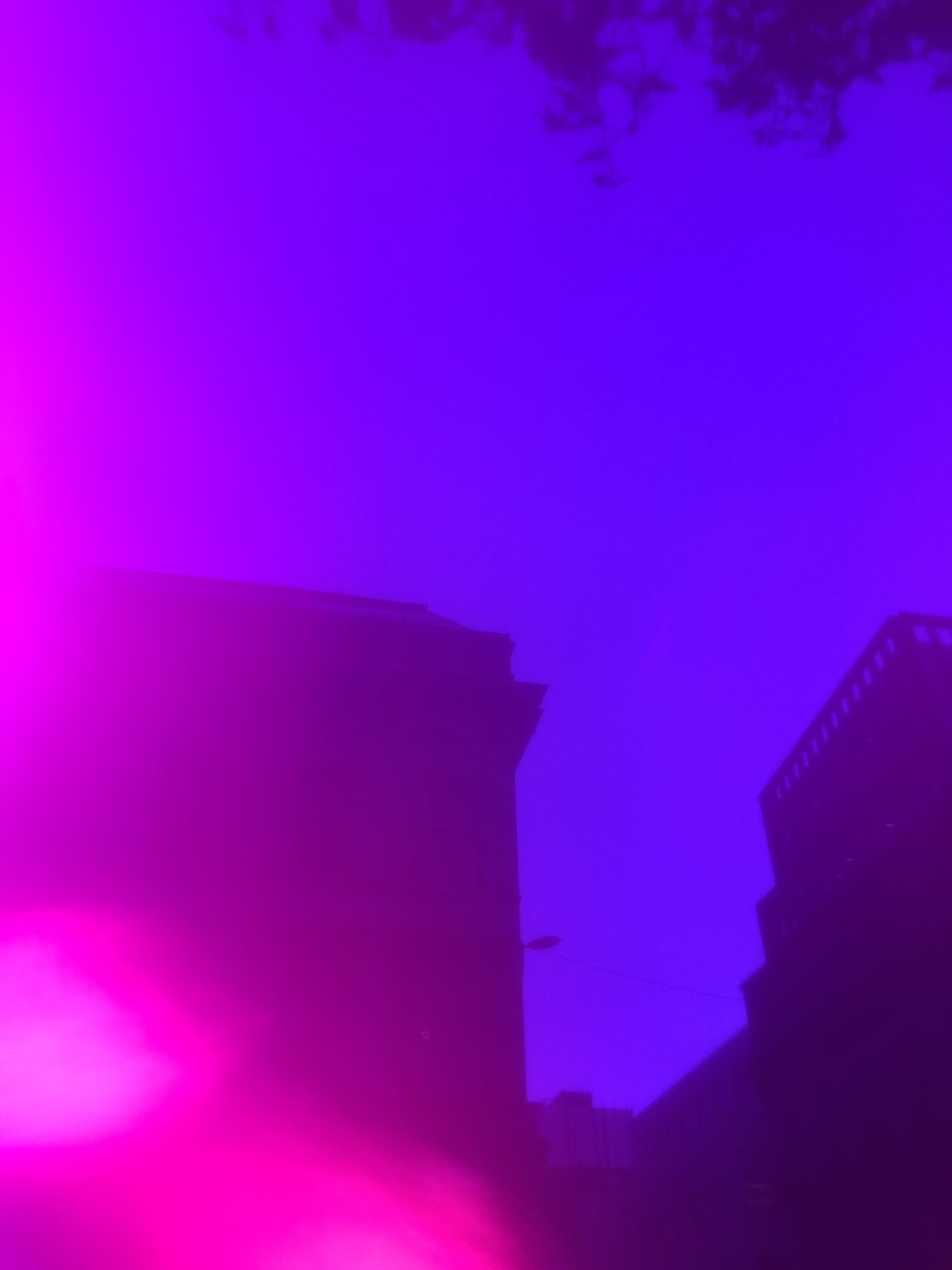 Unedited Photograph