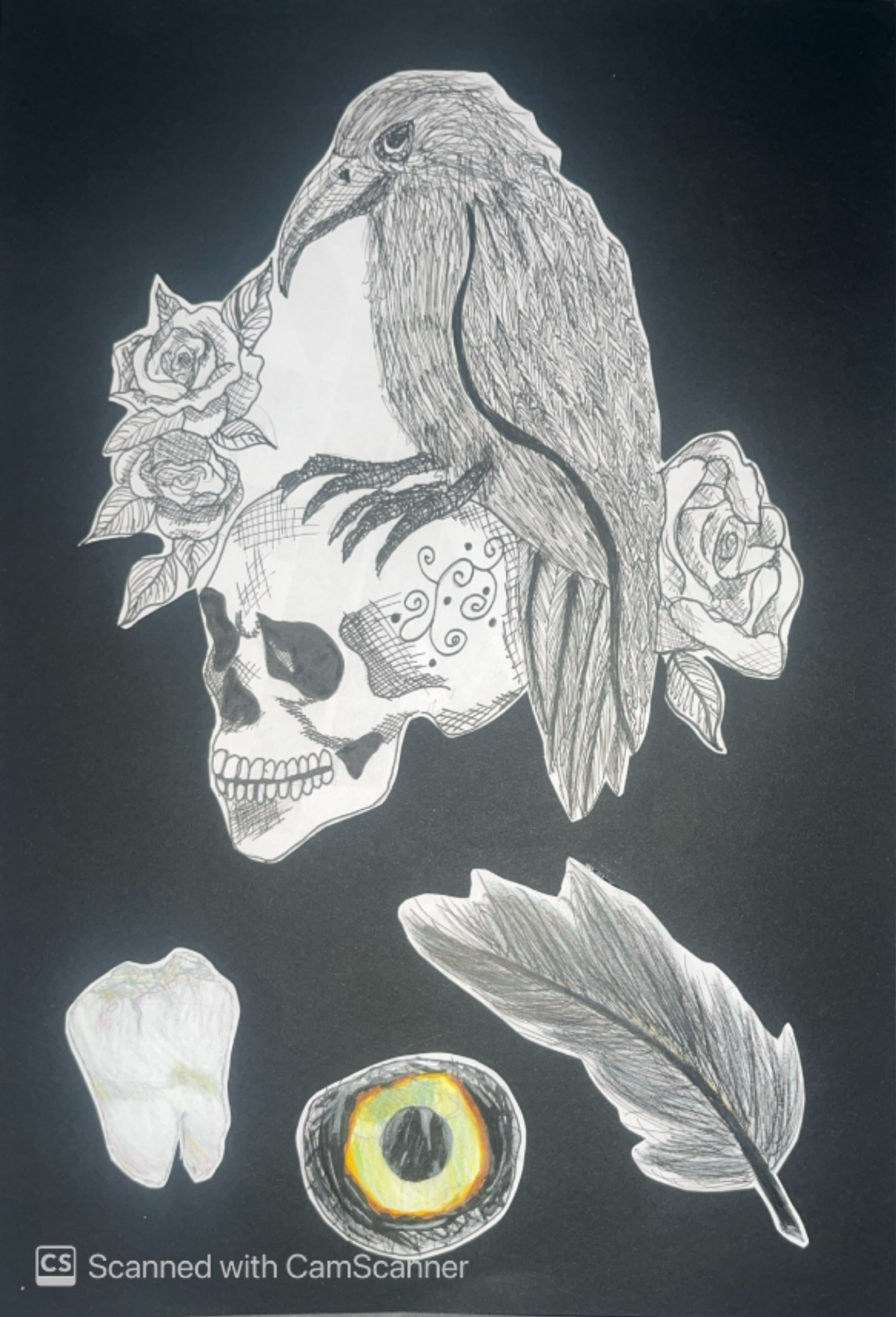 This is another page from my portfolio that I did using coloured pencils,