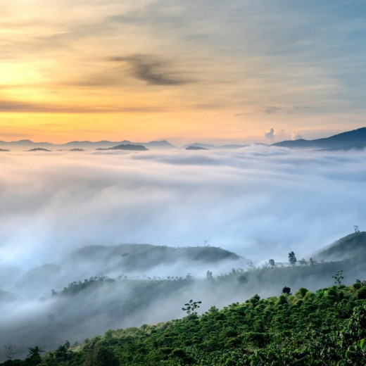 Deomali Hill Near : KIAR Residency